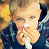 причинители на алергия